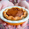 Small pumpkin pie held in hands with a colorful background